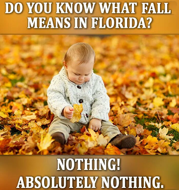 FloridaFall