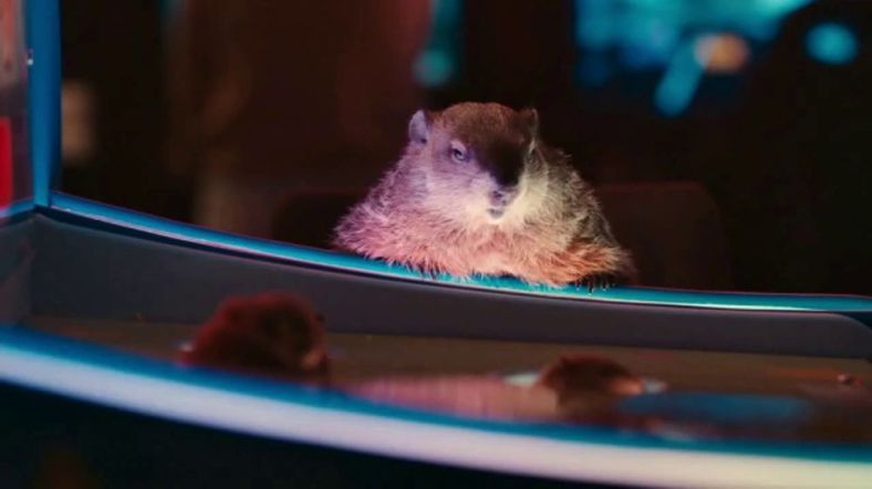 2020-jeep-gladiator-super-bowl-2020-groundhog-day-featuring-bill-murray-song-by-sonny-and-cher-t1-large-9