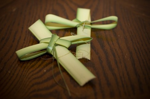 442507486_8a16c5283c