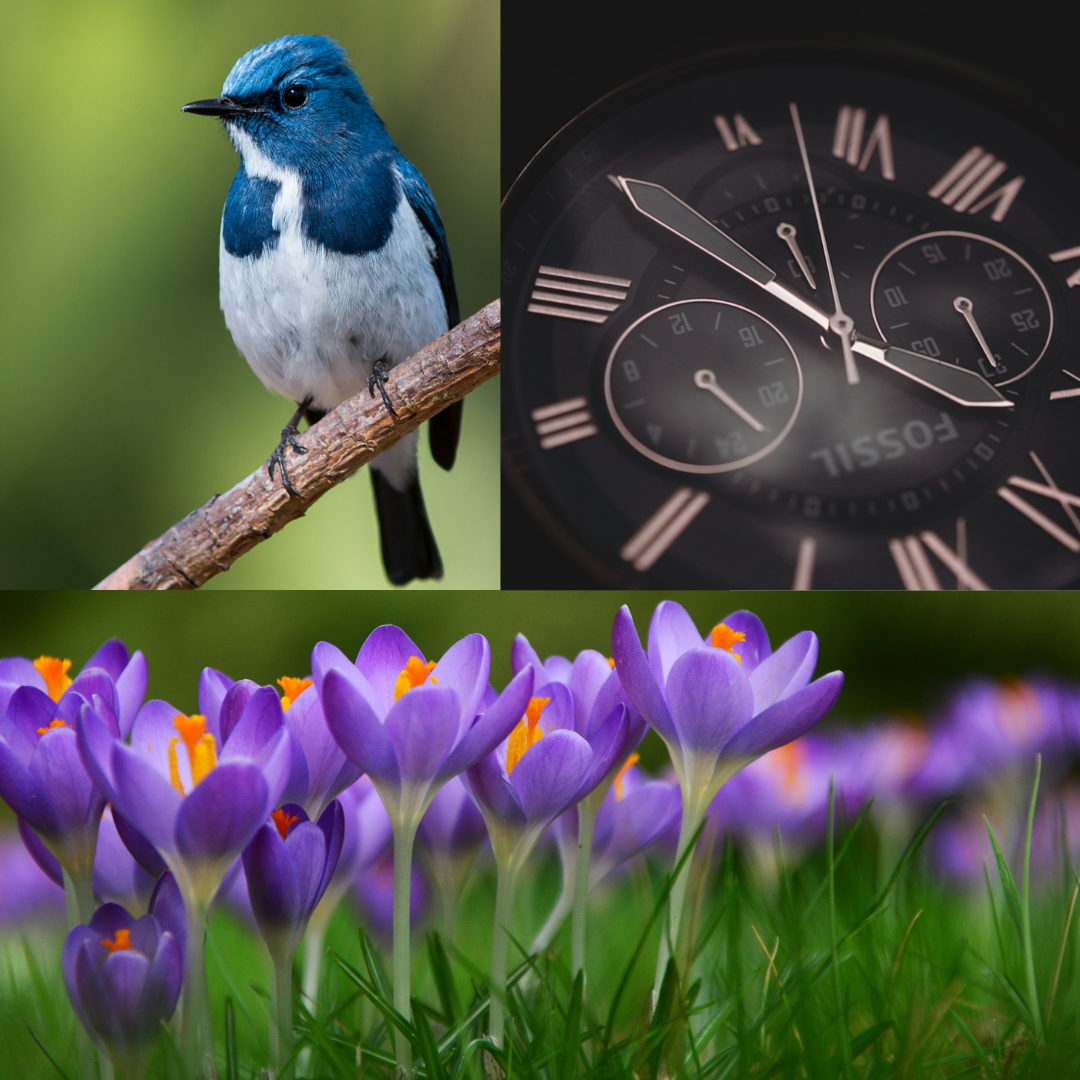 DBB363E1-BC6F-40B9-861F-A2F2CED91DFC