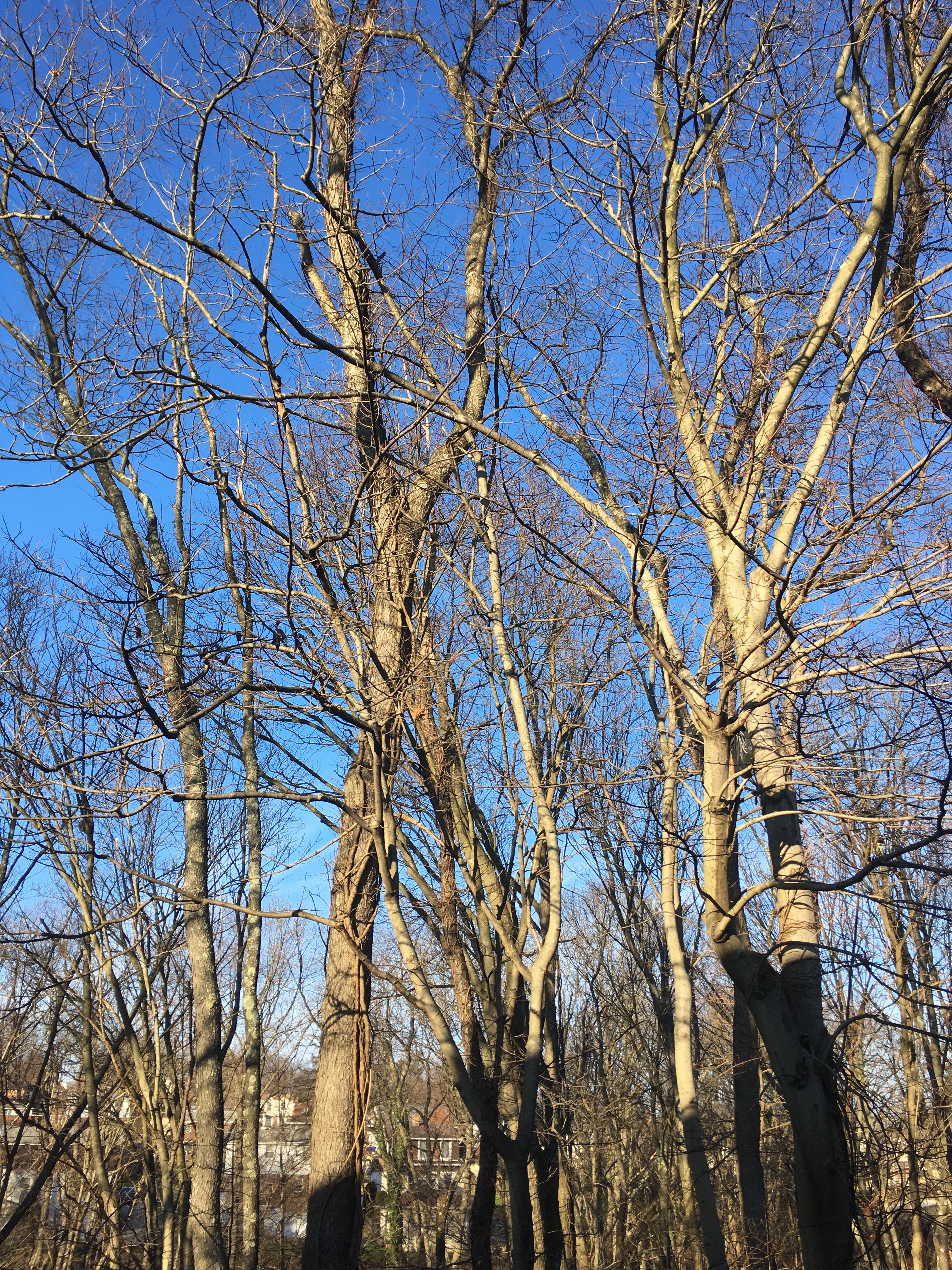 FCB08EB5-246A-490D-B8AD-5431EE7016B1